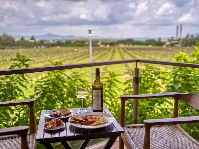 Vineyard barrel tasting and dinner