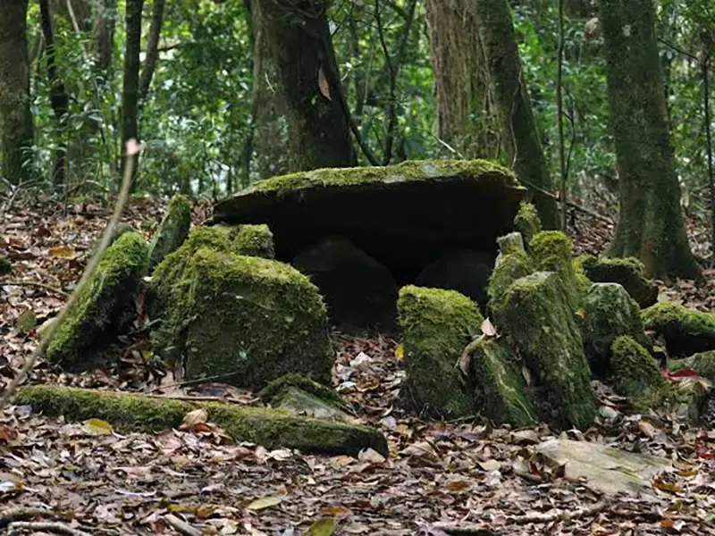 Khasi sacred grove traditions