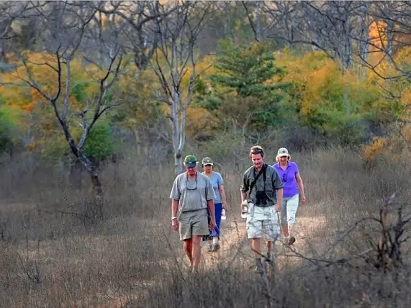 Satpura walking and canoe safari