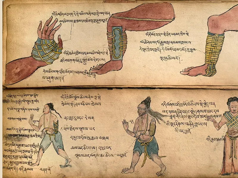 Tibetan medicine consultation