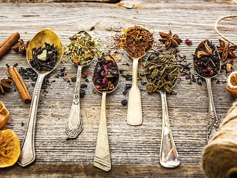 Tea planter experience in Darjeeling