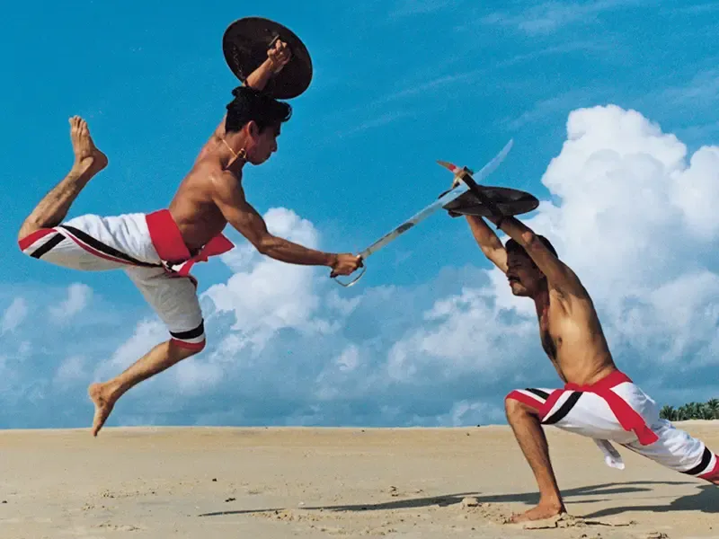 Kalaripayattu master demonstration