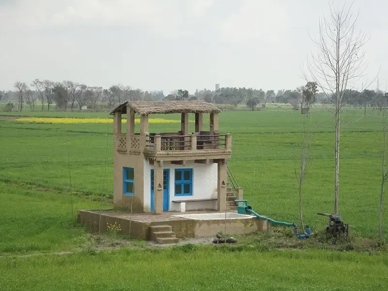 Punjabiyat