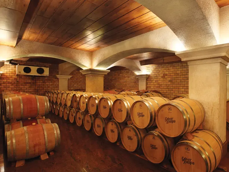 Nashik vineyard and cellar tasting