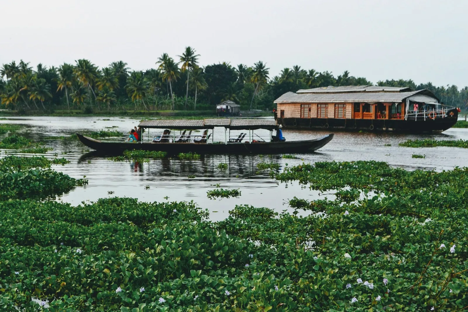 Kettuvallam houseboats moored along the Kerala backwaters at dusk