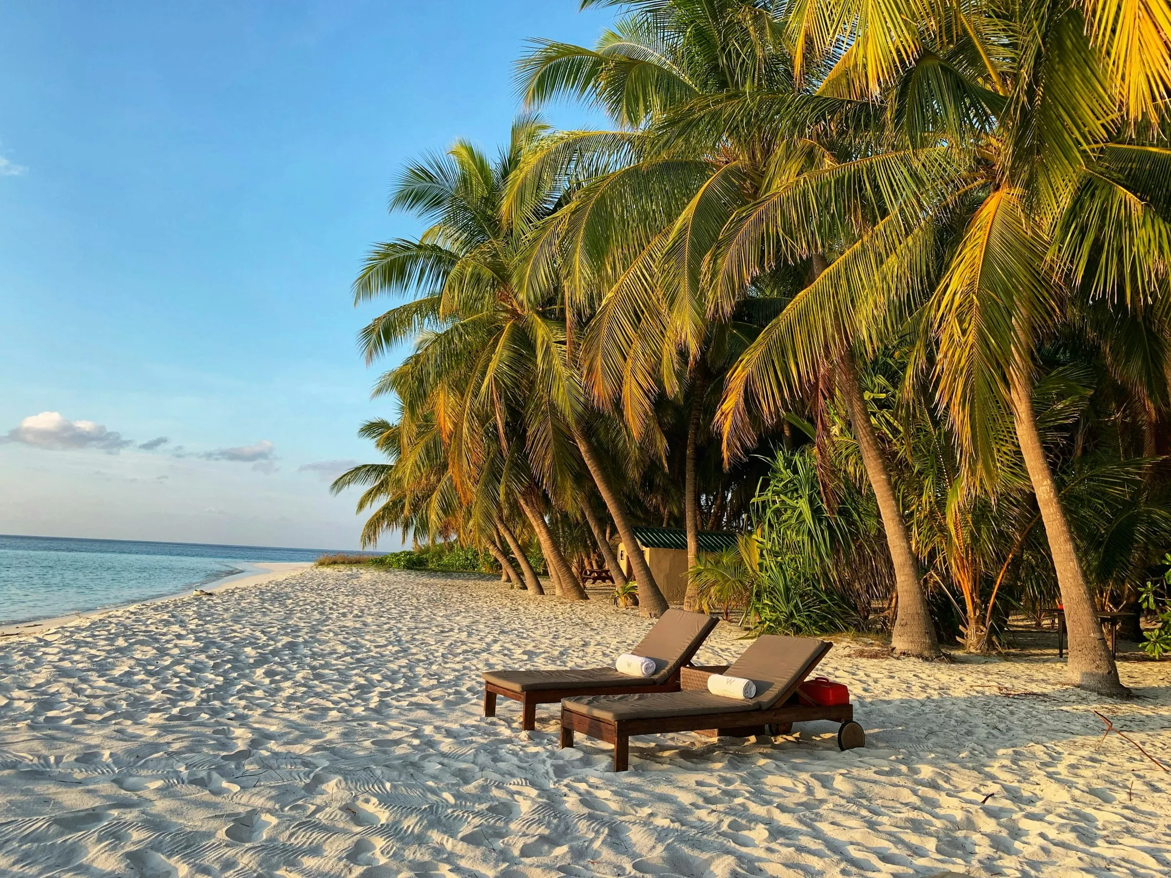 Two sun-loungers side by side under leaning palms on a golden-hour Maldives beach