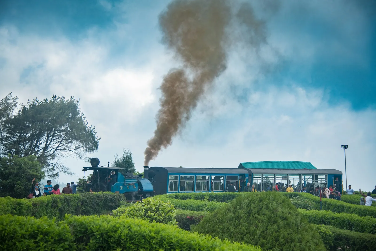 A steam locomotive on the Nilgiri Mountain Railway billowing smoke above the tea hills