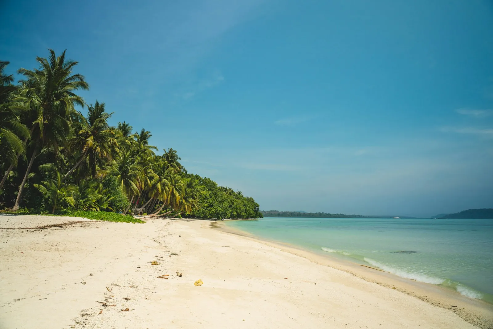 Palm-fringed white sand and turquoise water at Radhanagar Beach, Havelock Island, Andamans