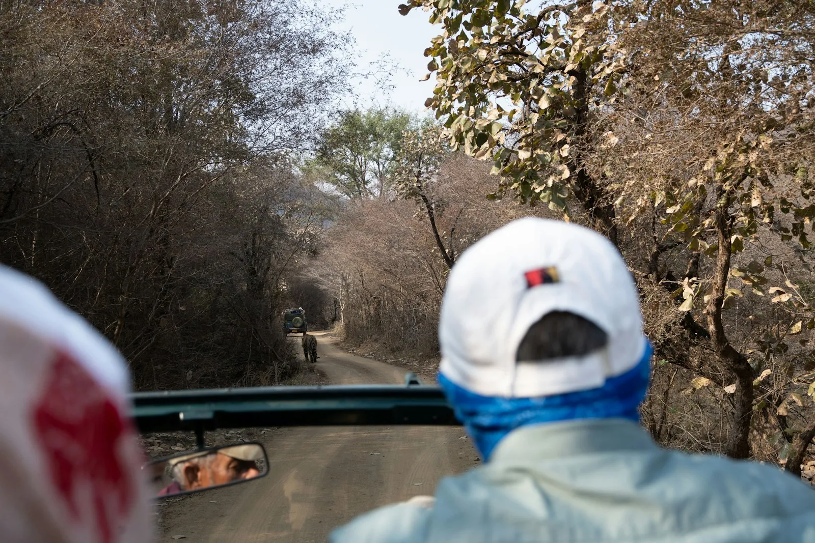 View from a safari jeep watching the trail ahead through the forest of an Indian tiger reserve