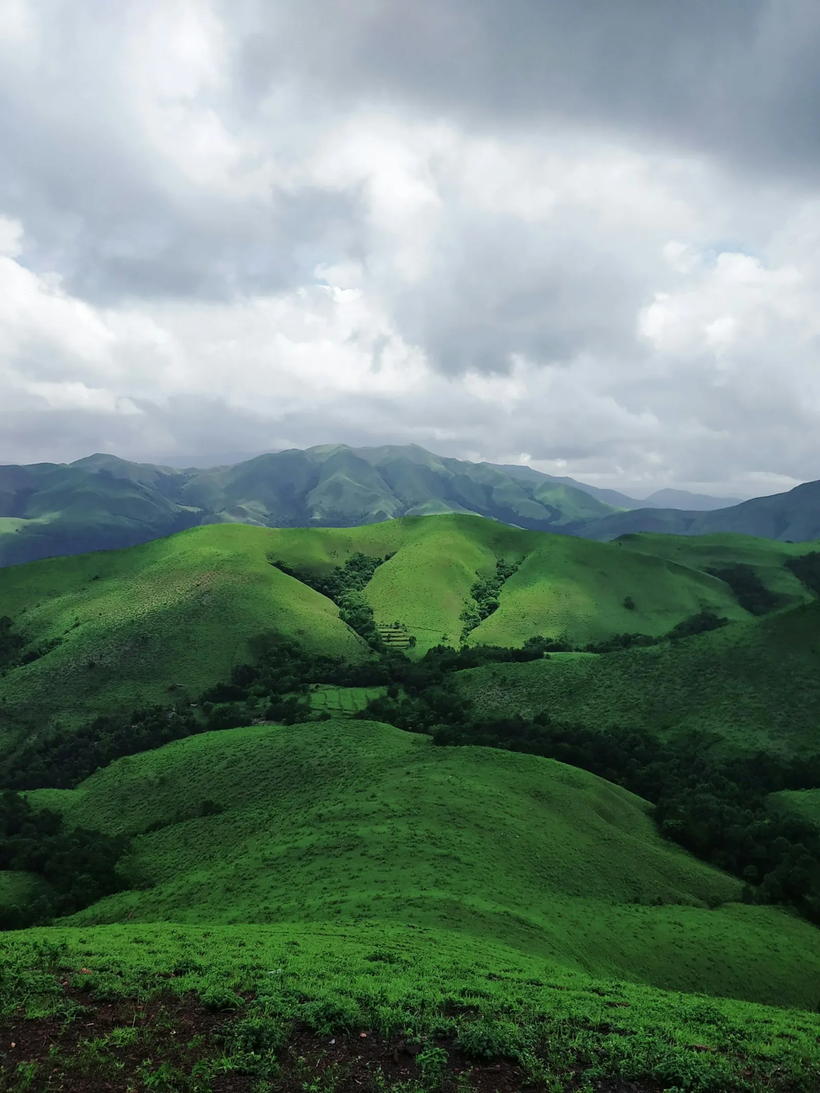 Layered green ridges of the Western Ghats wreathed in low cloud near Chikmagalur