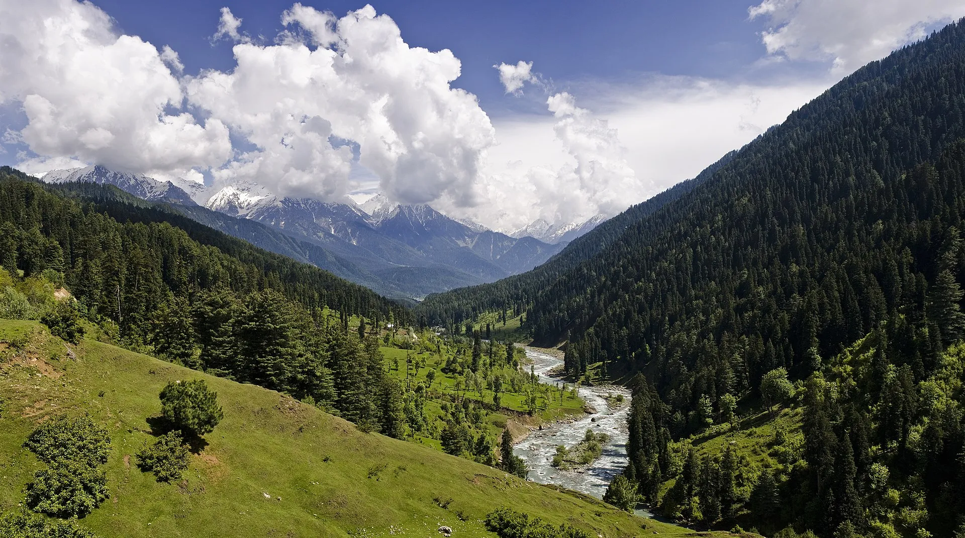 Pine-forested slopes and snow-dusted peaks of the Pahalgam valley, Kashmir